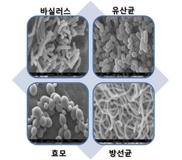 분석절차